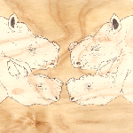 Ply Sundry